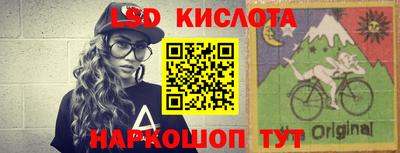 гидра Братск