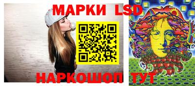 гидра Братск