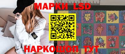 mdpv Брянск