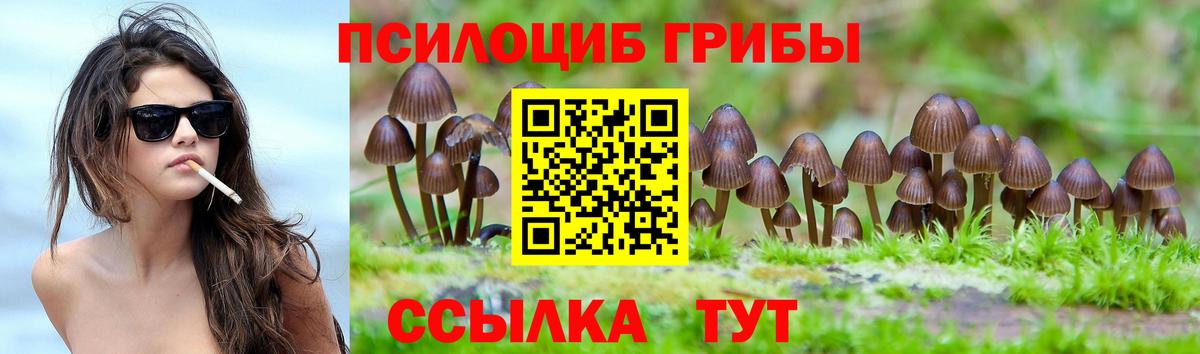 Галлюциногенные грибы Psilocybine cubensis Выборг